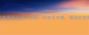 德牧边牧串串是什么样性格培育全攻略看完秒变养宠达人