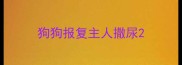 狗狗报复主人撒尿
