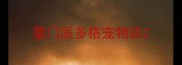 厦门派多格宠物店