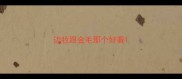 边牧跟金毛那个好看