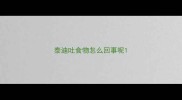 泰迪吐食物怎么回事呢