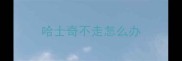 哈士奇不走怎么办