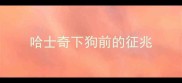 哈士奇下狗前的征兆