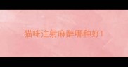 猫咪注射麻醉哪种好