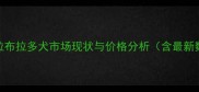 北京拉布拉多犬市场现状与价格分析含最新数据