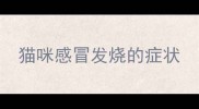 猫咪感冒发烧的症状