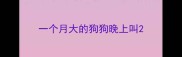 一个月大的狗狗晚上叫