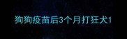 狗狗疫苗后3个月打狂犬