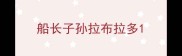 船长子孙拉布拉多