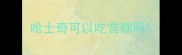 哈士奇可以吃雪糕吗