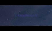 20天泰迪便秘怎么办