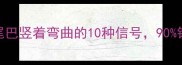 紧急预警猫咪尾巴竖着弯曲的10种信号90铲屎官都误解了