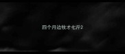 四个月边牧才七斤