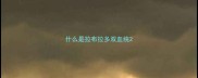 什么是拉布拉多双血统