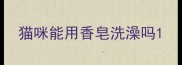 猫咪能用香皂洗澡吗