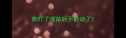 狗打了疫苗后不能动了