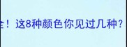 泰迪犬毛色全这8种颜色你见过几种附养护指南