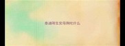 泰迪刚生完母狗吃什么