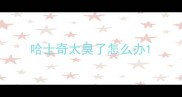哈士奇太臭了怎么办