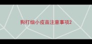 狗打细小疫苗注意事项