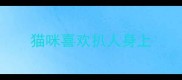 猫咪喜欢扒人身上