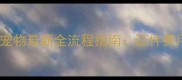 深圳到香港带宠物最新全流程指南证件费用注意事项全