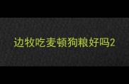 边牧吃麦顿狗粮好吗