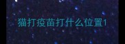 猫打疫苗打什么位置