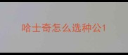哈士奇怎么选种公