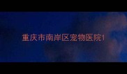 重庆市南岸区宠物医院