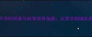 边境牧羊犬怀孕时间表与科学饲养指南从受孕到哺乳的全周期管理