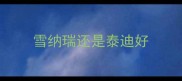 雪纳瑞还是泰迪好