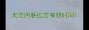犬类四联疫苗有效时间