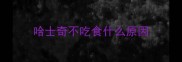哈士奇不吃食什么原因