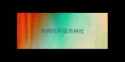 狗狗吃阿莫西林吐