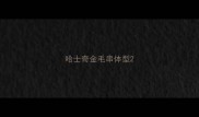 哈士奇金毛串体型