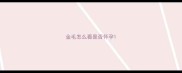 金毛怎么看是否怀孕