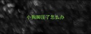小狗脚压了怎么办
