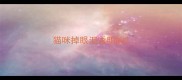 猫咪掉眼泪透明的
