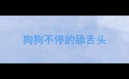 狗狗不停的舔舌头