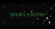 猫咪鼻头干燥拉稀