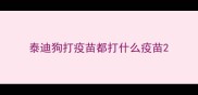 泰迪狗打疫苗都打什么疫苗