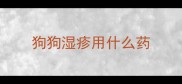 狗狗湿疹用什么药