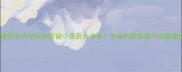 边境牧羊犬幼犬体型偏小是否为串串专业判断指南与饲养建议
