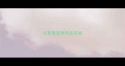 云景里宠物用品商城