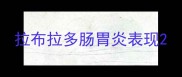 拉布拉多肠胃炎表现