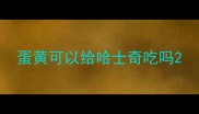 蛋黄可以给哈士奇吃吗