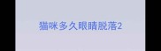猫咪多久眼睛脱落