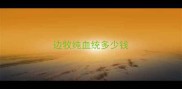 边牧纯血统多少钱