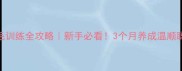 成犬金毛训练全攻略新手必看3个月养成温顺聪明好伙伴